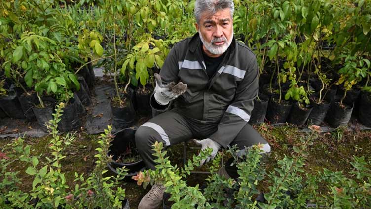 'Sowing peace'? Colombia program for war criminals stokes debate