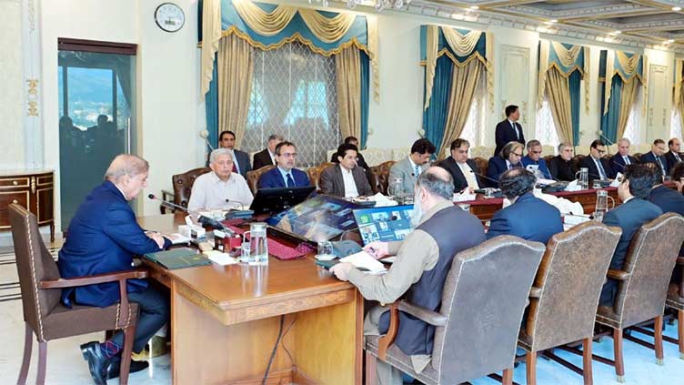 PM Shehbaz elevates warehouse and logistics to industry status