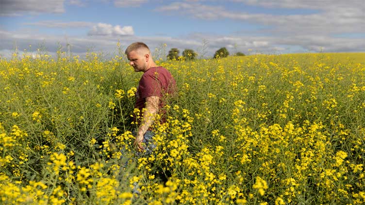 Polish farmers demand less interference from EU ahead of vote