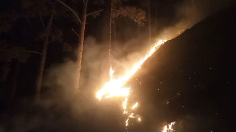 Fire erupts in forests near Khanpur Hazara