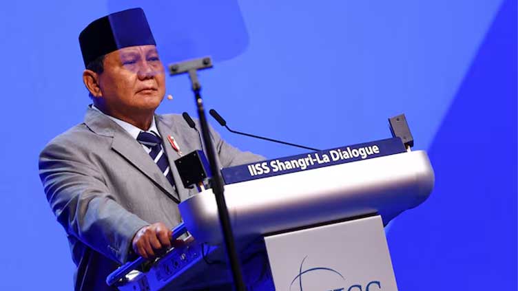 Prabowo says Indonesia willing to send peacekeeping troops to Gaza